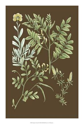 Framed Organic Greenery II Print