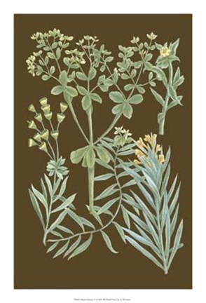 Framed Organic Greenery IV Print