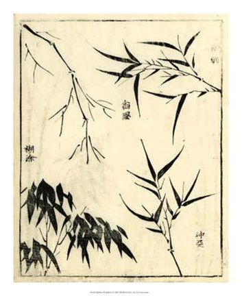 Framed Bamboo Woodblock I Print