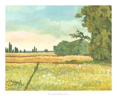 Framed Western Vista IV Print