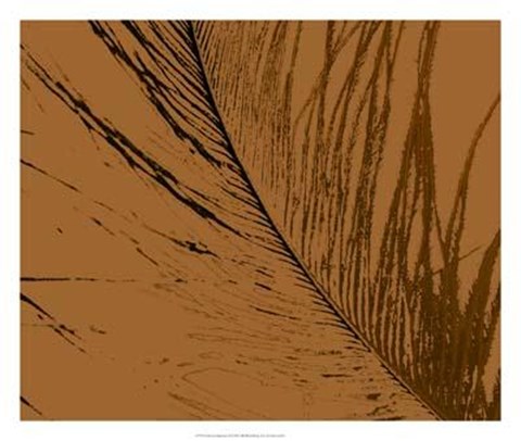 Framed Feathered Impression II Print