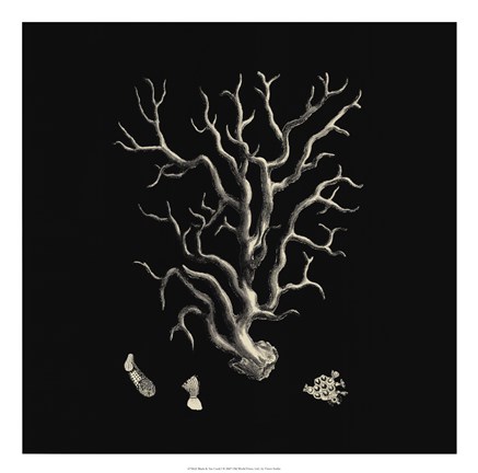 Framed Black And Tan Coral I Print