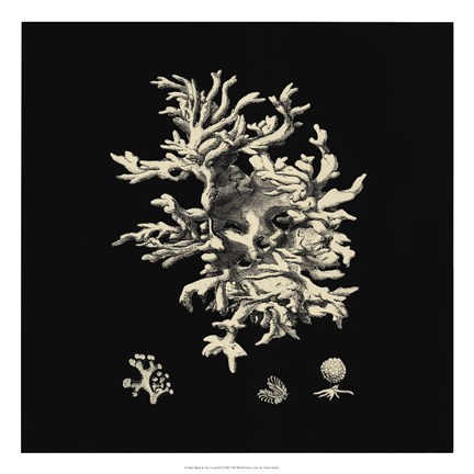 Framed Black And Tan Coral III Print