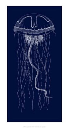 Framed Languishing Drifters II Print