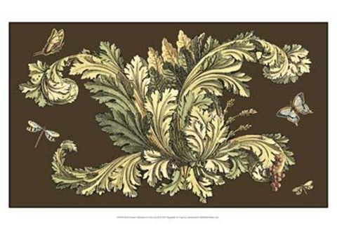 Framed Small Nature's Splendor On Chocolate II Print