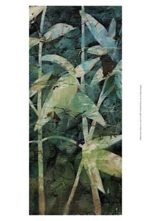 Framed Mystic Reflections Panel II Print