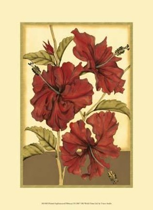 Framed Printed Sophisticated Hibiscus I Print