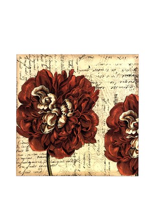 Framed Printed Vintage Composition I Print