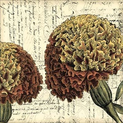 Framed Printed Vintage Composition IV Print