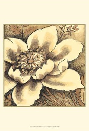 Framed Cropped Golden Elegance II Print