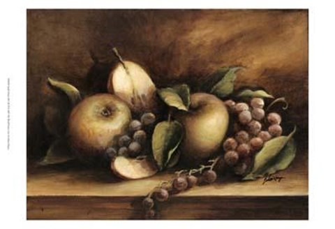 Framed Small Classic Still Life II Print