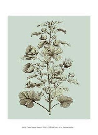 Framed Custom Imperial Munting I Print