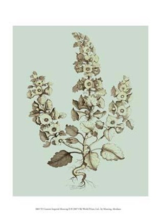 Framed Custom Imperial Munting II Print