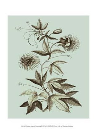 Framed Custom Imperial Munting III Print