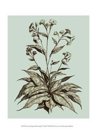 Framed Custom Imperial Munting IV Print