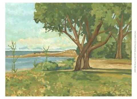 Framed Mini Western Vista III Print