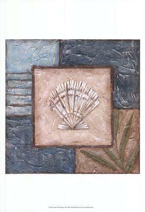 Framed Large Shell Montage II Print
