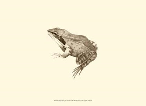 Framed Sepia Frog III Print