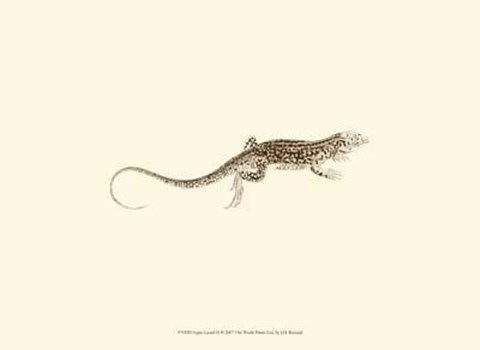 Framed Sepia Lizard II Print