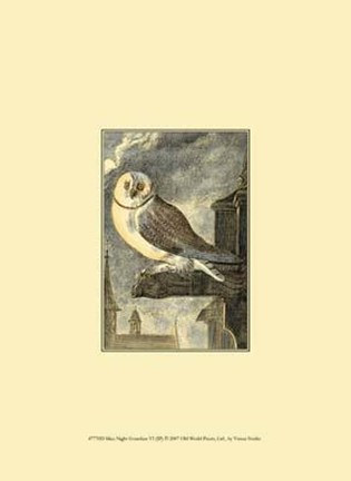 Framed Mini Night Guardian VI Print