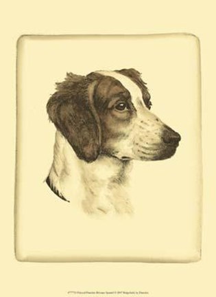 Framed Printed Danchin Brittany Spaniel Print