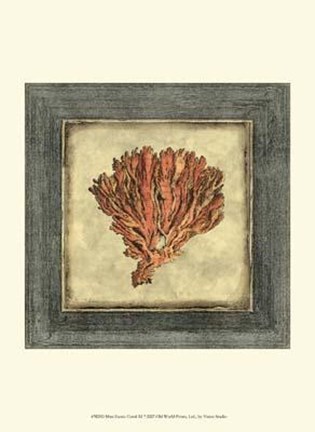 Framed Mini Exotic Coral XI Print