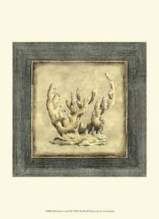 Framed Mini Exotic Coral XII Print
