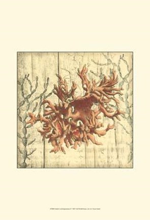 Framed Small Coral Impressions II Print