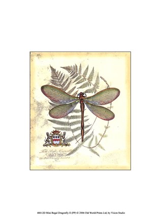 Framed Mini Regal Dragonfly II Print