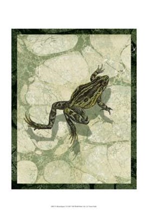 Framed Skinny Dippin&#39; I Print