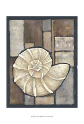 Framed Abalone I Print