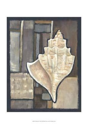 Framed Abalone II Print