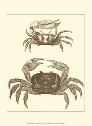 Framed Sepia Crabs I Print
