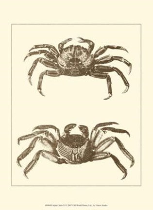 Framed Sepia Crabs II Print