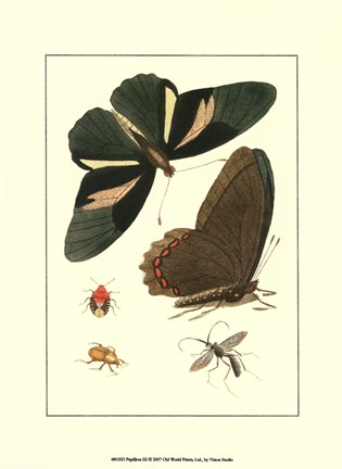 Framed Papillion III Print