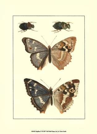 Framed Papillion IV Print