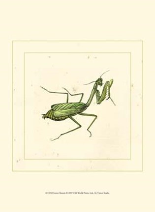 Framed Green Mantis Print