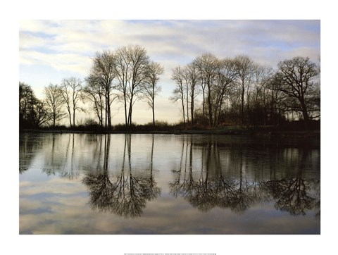 Framed Frozen Reflections Print