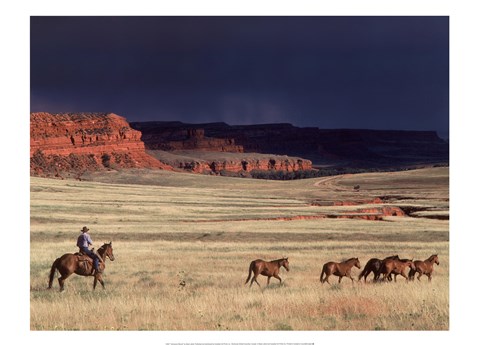 Framed Homeward Bound Print