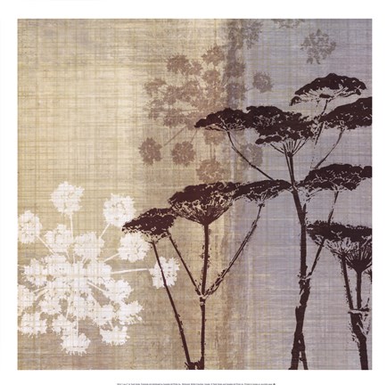 Framed Lace II Print