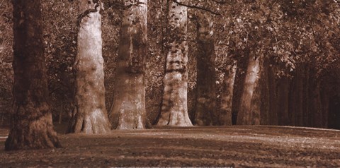 Framed Hyde Park Afternoon I Print