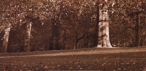 Framed Hyde Park Afternoon II Print