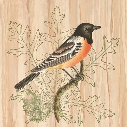 Framed Treetops I Print