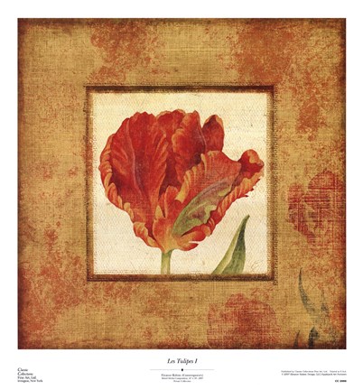 Framed Les Tulipes I Print