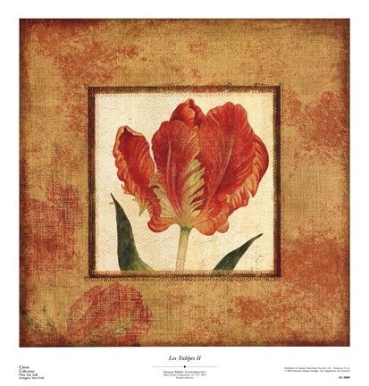 Framed Les Tulipes II Print