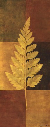 Framed Woodland Impressions II Print