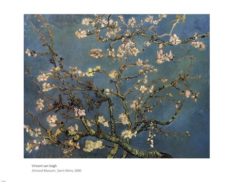 Framed Blossoming Almond Tree, Saint-Remy, c.1890 Print