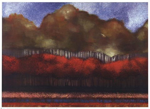 Framed Fallen Sky III Print