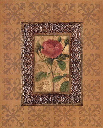 Framed Rose Illumination I Print