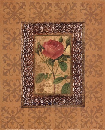 Framed Rose Illumination I Print